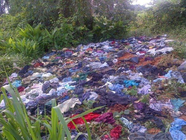 Waste clearance and site cleanup